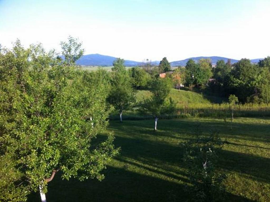 Apartment Lana Rakovica Camera foto